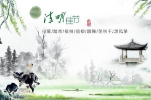 緬懷革命先烈，弘揚民族精神——金華市方格外國語學校小學部清明烈士陵園掃墓活動